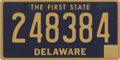 DE license plate 248384