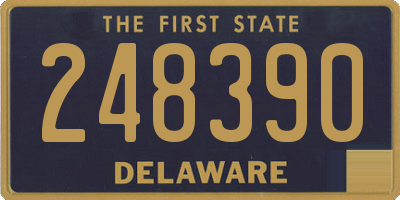 DE license plate 248390