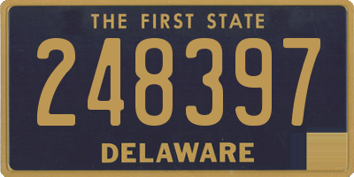 DE license plate 248397