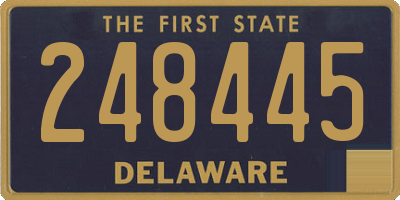 DE license plate 248445