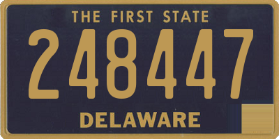 DE license plate 248447