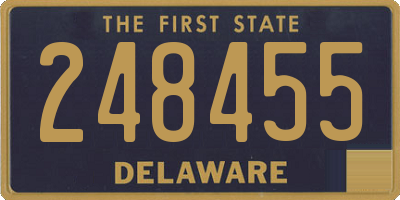 DE license plate 248455