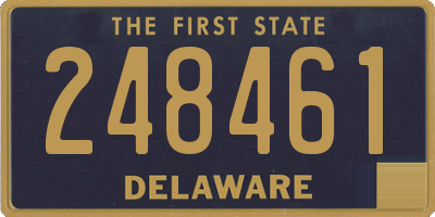 DE license plate 248461