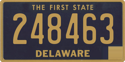 DE license plate 248463
