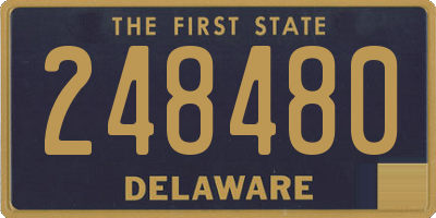 DE license plate 248480