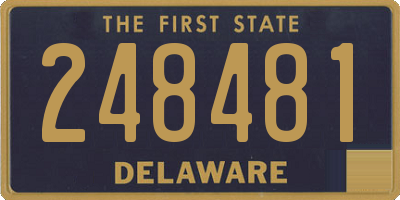 DE license plate 248481