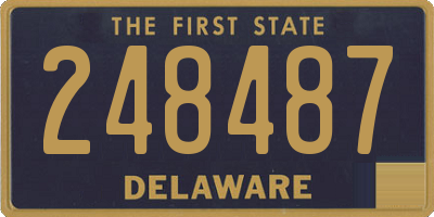 DE license plate 248487