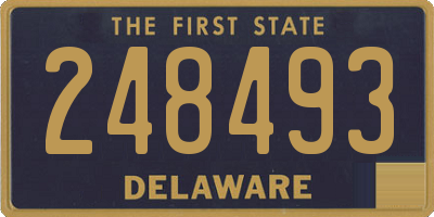 DE license plate 248493