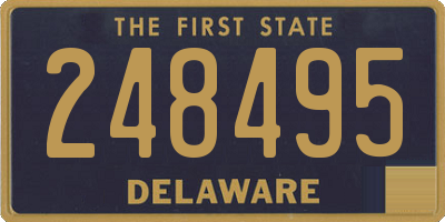 DE license plate 248495
