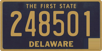 DE license plate 248501