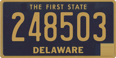 DE license plate 248503