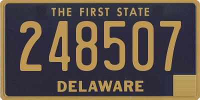 DE license plate 248507