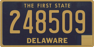 DE license plate 248509