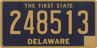 DE license plate 248513