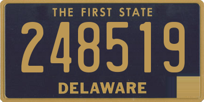 DE license plate 248519