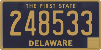 DE license plate 248533