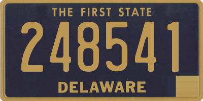 DE license plate 248541