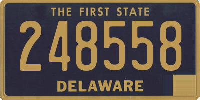 DE license plate 248558
