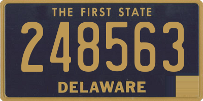 DE license plate 248563