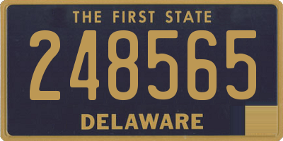 DE license plate 248565