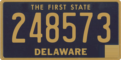DE license plate 248573