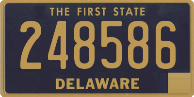 DE license plate 248586