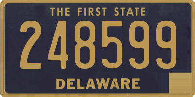 DE license plate 248599