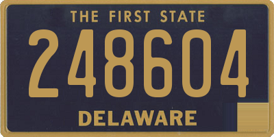 DE license plate 248604