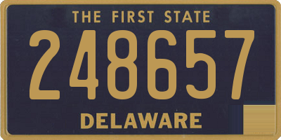 DE license plate 248657