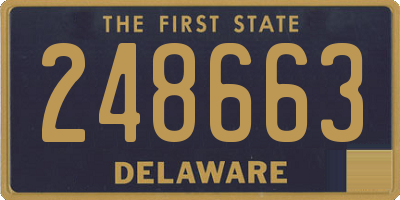 DE license plate 248663