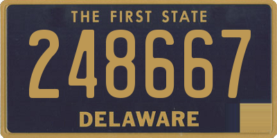DE license plate 248667