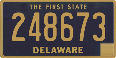 DE license plate 248673