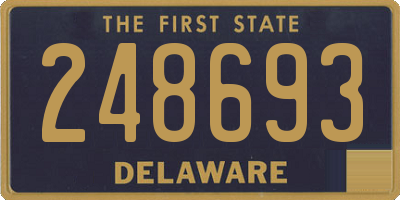 DE license plate 248693