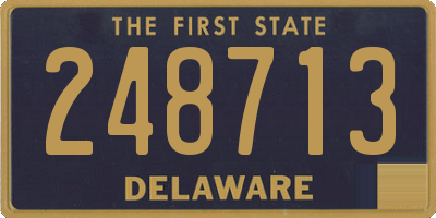 DE license plate 248713