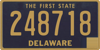 DE license plate 248718