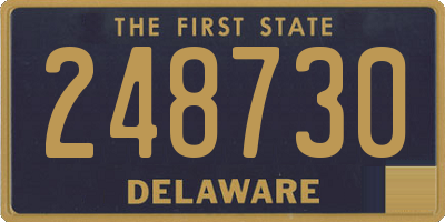 DE license plate 248730