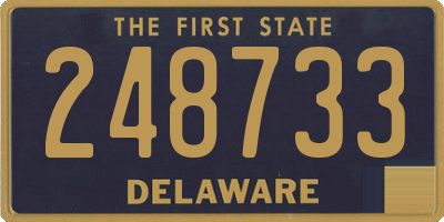 DE license plate 248733