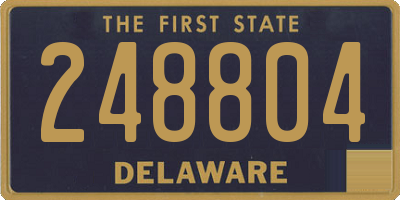 DE license plate 248804