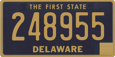 DE license plate 248955