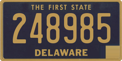 DE license plate 248985