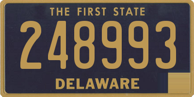 DE license plate 248993