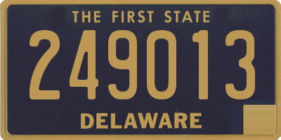 DE license plate 249013