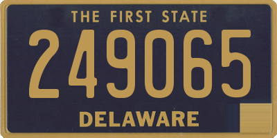 DE license plate 249065