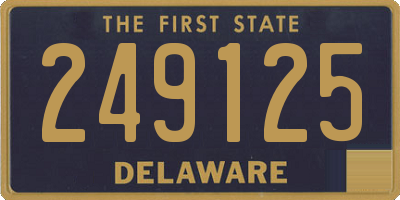 DE license plate 249125
