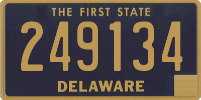 DE license plate 249134