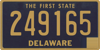 DE license plate 249165