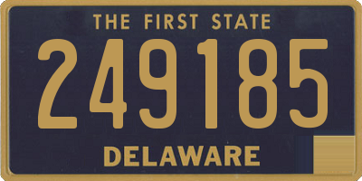 DE license plate 249185