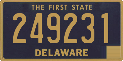 DE license plate 249231