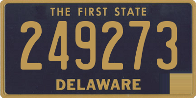 DE license plate 249273