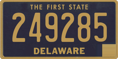 DE license plate 249285